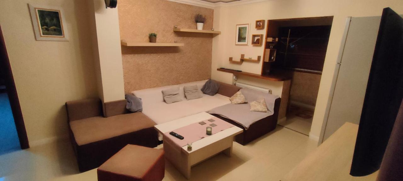 بوخارست Duck Apartment المظهر الخارجي الصورة